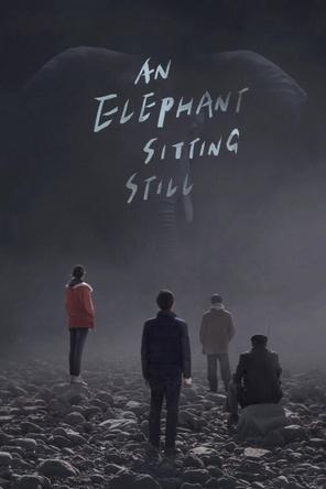 Chú Voi Ngồi Im Trên Đất - An Elephant Sitting Still (2018)