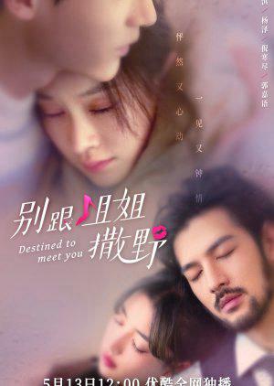 Đừng Nhờn Với Chị - Destined to Meet You (2022)