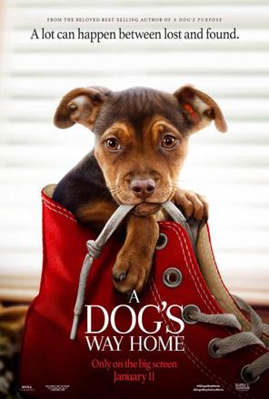 Đường Về Nhà Của Cún Con - A Dog's Way Home (2019)