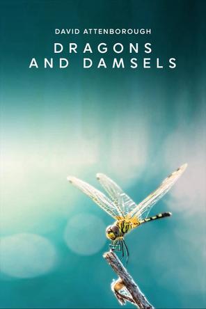 Loài Chuồn Chuồn - Dragons and Damsels (2019)