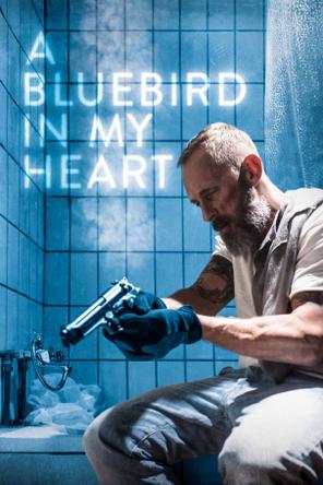 Quy Ẩn - A Bluebird in My Heart (2018)