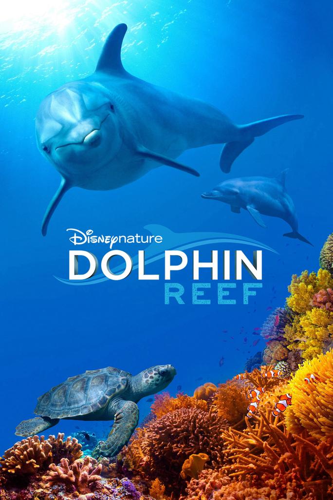 Rạn San Hô Cá Heo - Dolphin Reef (2018)