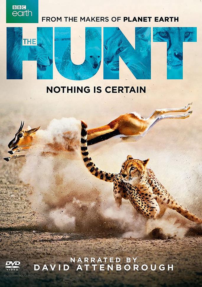 Săn Mồi - BBC: The Hunt (2015)