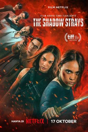 Sát Thủ Mật Danh 13 - The Shadow Strays (2024)