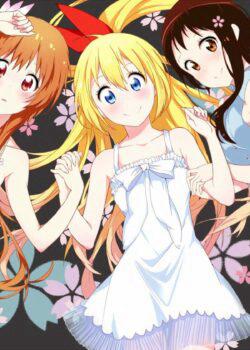 Tình Yêu Ngang Trái - NiseKoi (2013)